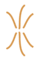 We Provide Thorough About  Customer Service Home. - kaiyun